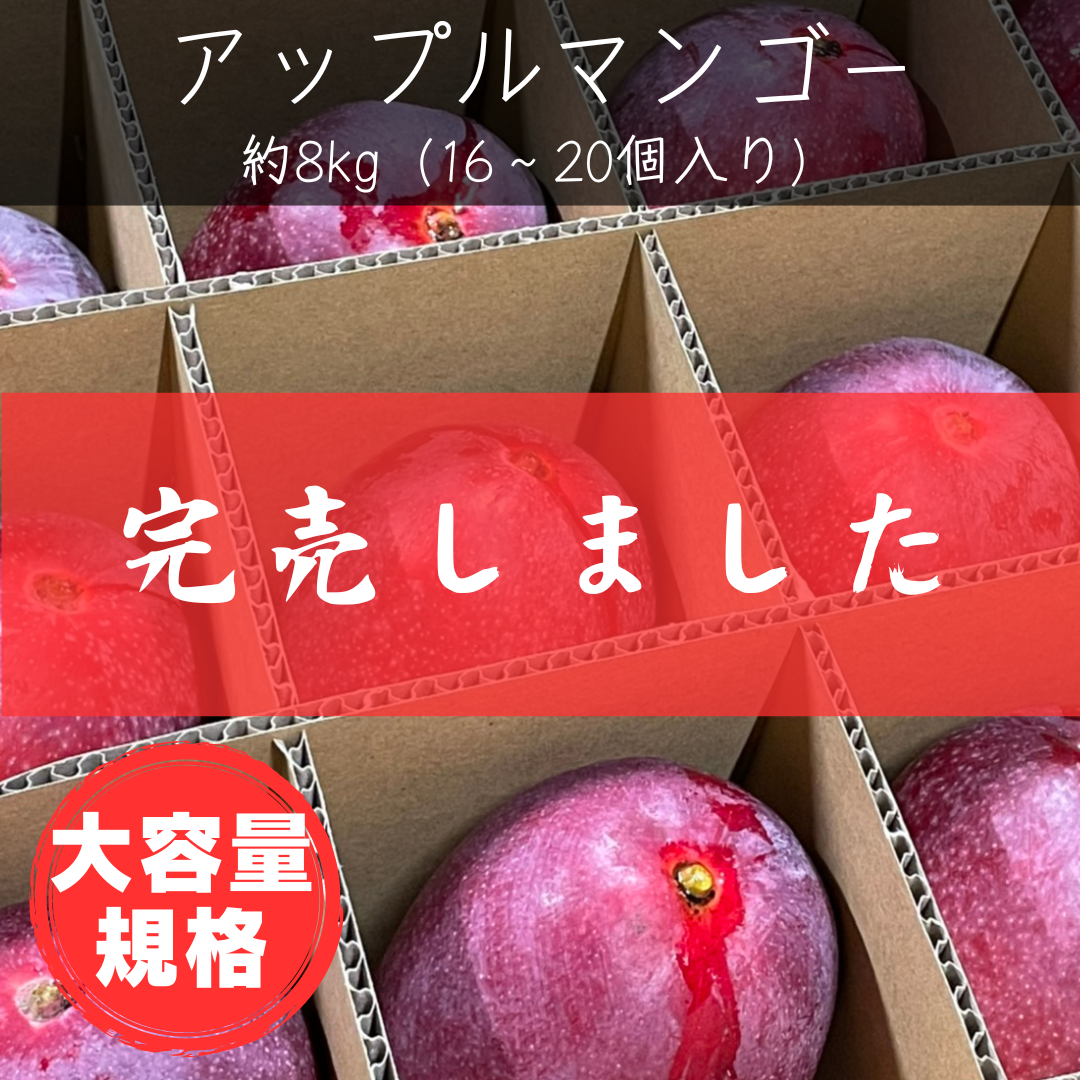 摘果マンゴー 8kg 小さめサイズ（アップルマンゴー約8kg（16～20